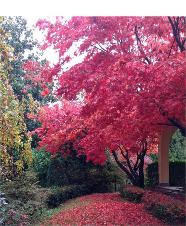 Prato Sesia Alla Gazza Ladra Bed & Breakfast エクステリア 写真